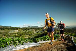 BIB: 
                            <button type="button" onclick="openModal(19122277)" class="btn btn-primary btn-sm float-right btn-popup" data-toggle="modal" data-target=".modal-high-quality">
                        <i class="fas fa-shopping-cart"></i> Add to Cart
                    </button>
                                            <button type="button" onclick="isThisMe(19122277, true)" class="btn btn-success btn-sm float-right btn-popup btn-isme hidden" data-toggle="tooltip" data-placement="bottom" title="นี่คือรูปของคุณใช่ไหม คลิกที่นี่เพื่อเอาเข้าอัลบั้ม">
                        <i class="fas fa-plus"></i> Add to album
                    </button>
                    <button type="button" onclick="isThisMe(19122277, false)" class="btn btn-warning btn-sm float-right btn-popup btn-isnotme hidden">
                        <i class="fas fa-ban"></i> Remove from album
                    </button>